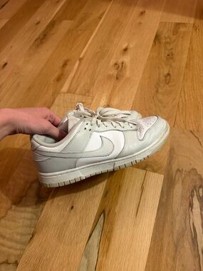 Nike Low Dunk Sneakers